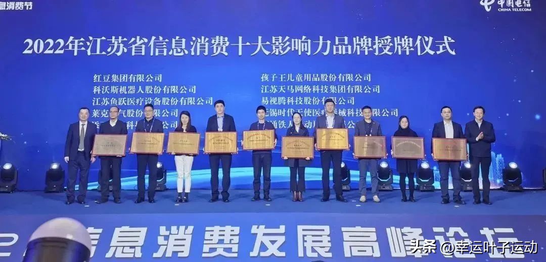 幸运叶子旗舰店卖的为什么便宜,江苏幸运叶子网络科技有限公司