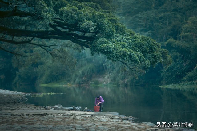 我有一个小舅妈，不出村，却走在潮流前列，管着村子里的红白喜事