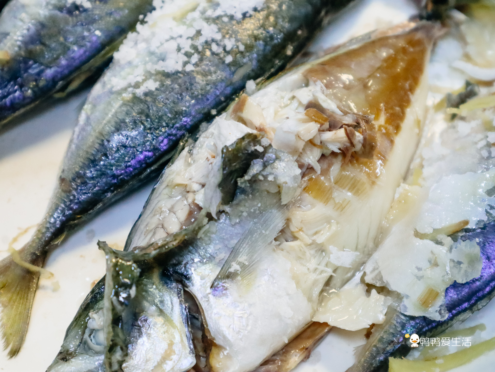 来厦门八市阿明海鲜，吃到糖醋话梅鱼、养殖巴浪鱼，新鲜又实在！