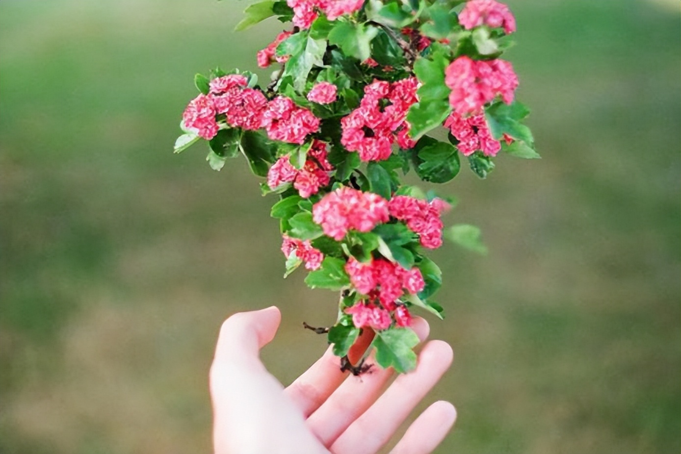 一个家庭慢慢走向衰败的前兆,家庭的衰败取决于5个根本