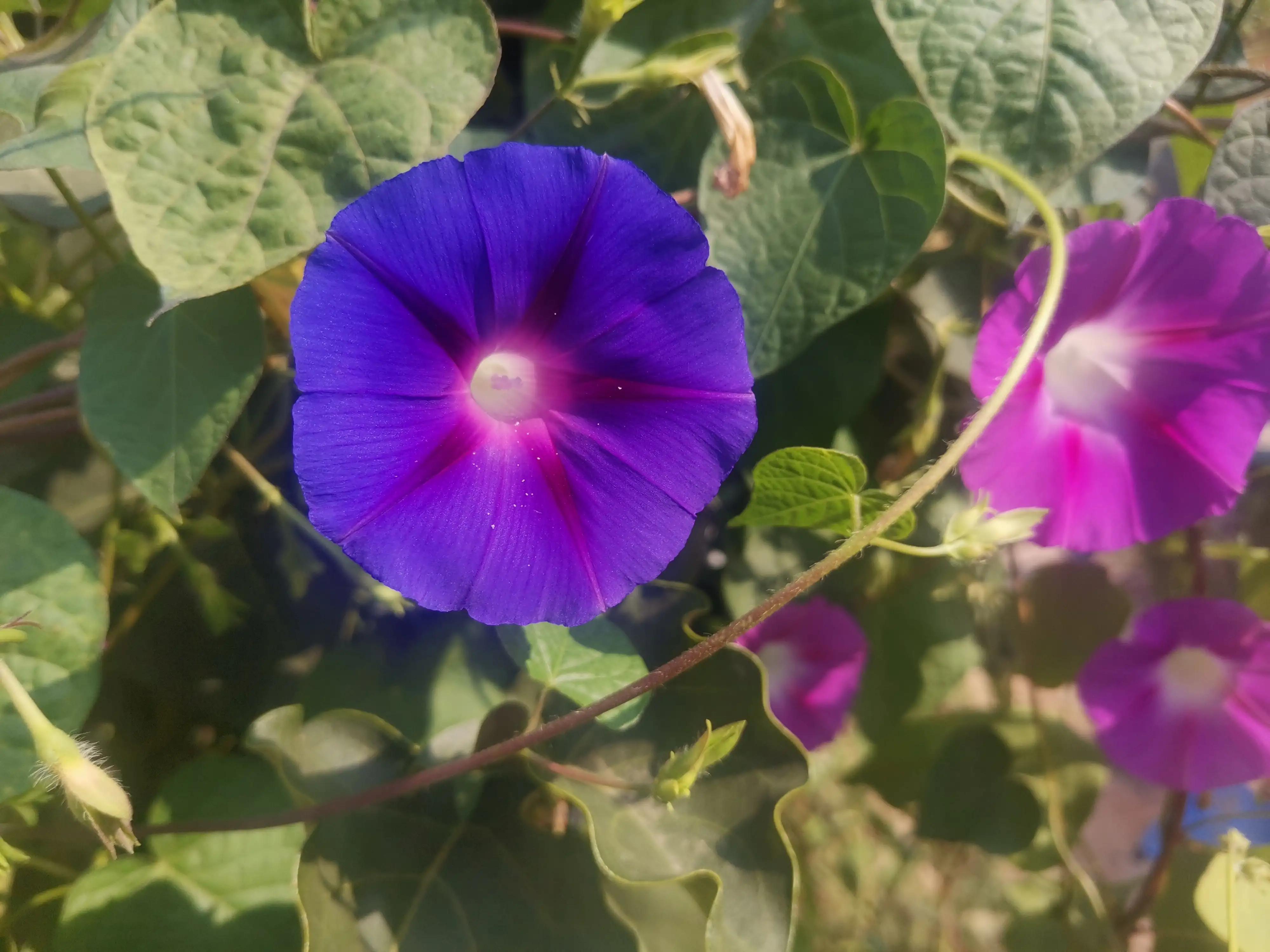 大拇指预防甲沟炎的最佳方法,怎么预防手指化脓