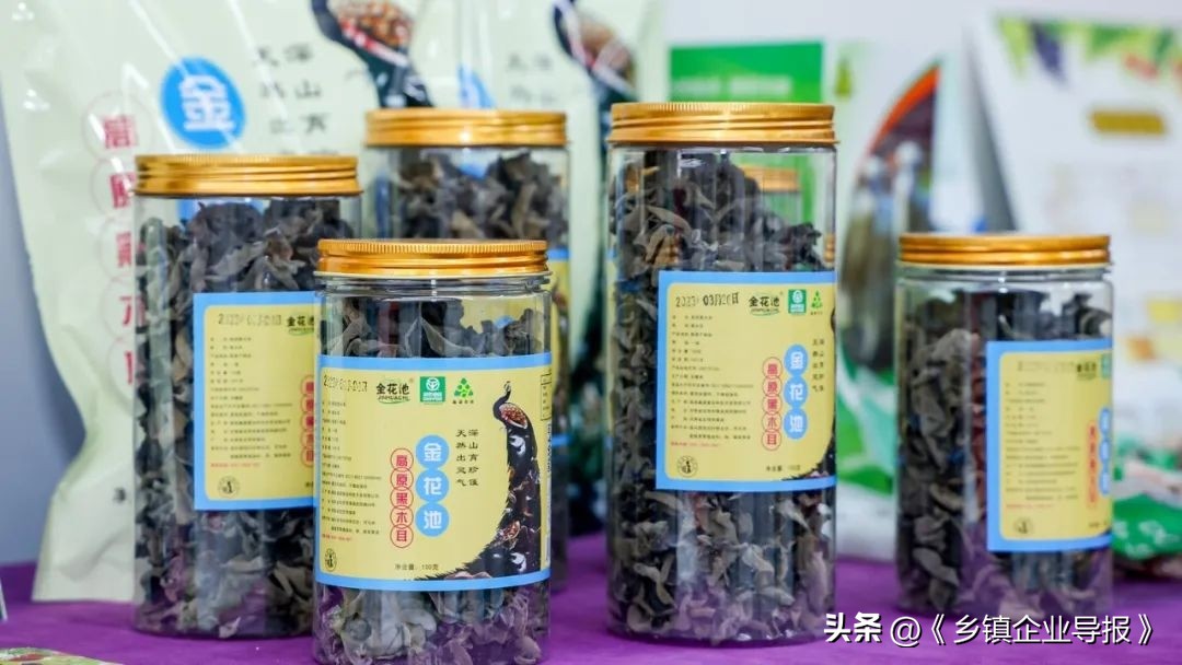 乡村振兴赋能计划人才典型案例,乡村振兴之文化振兴案例