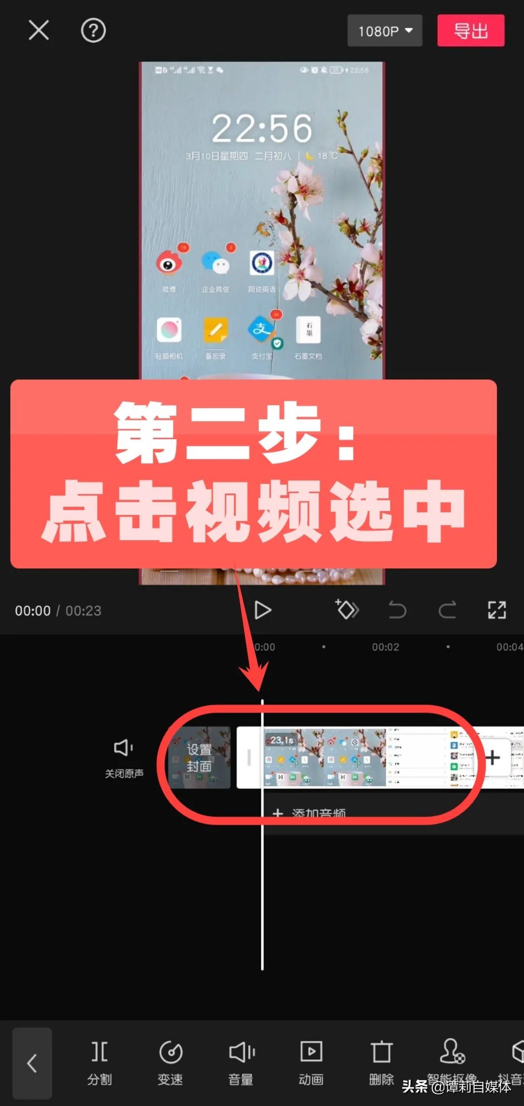 手机录屏视频剪辑怎么降噪,谭莉所有的视频
