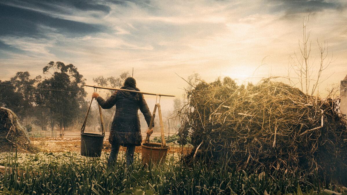 李寡妇短剧,李寡妇视频大全