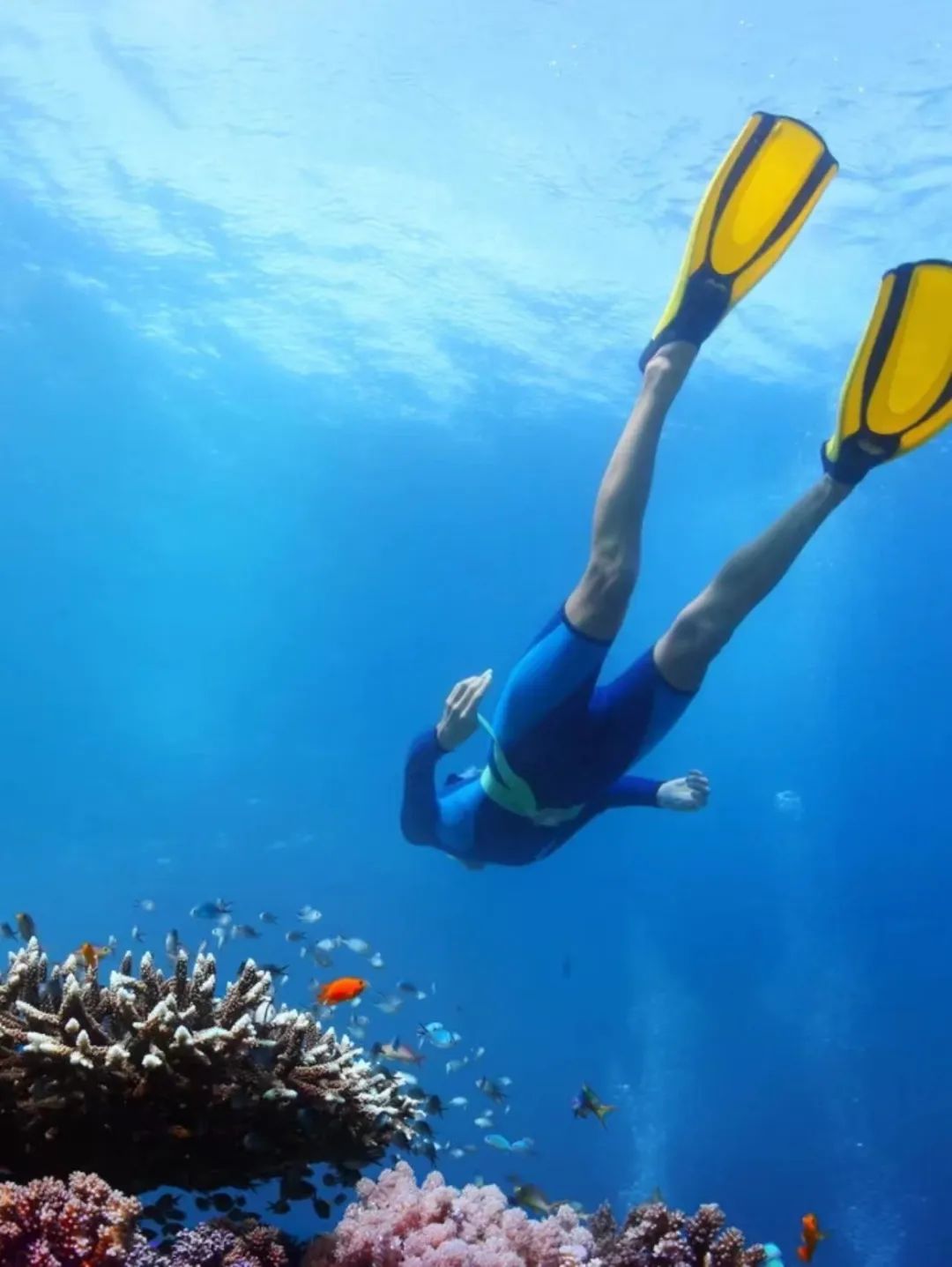 三亚潜水体验推荐,想去三亚海洋馆潜水
