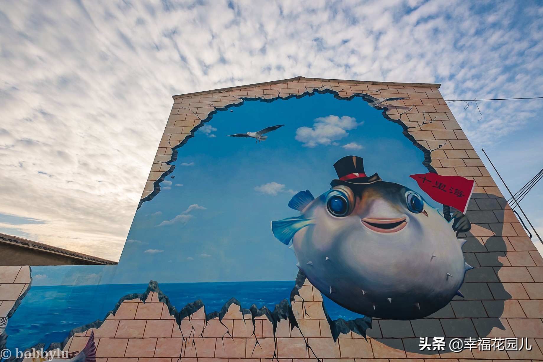 美味河豚有多金贵？养殖就有多娇贵！十里海河豚小镇探秘美食之源