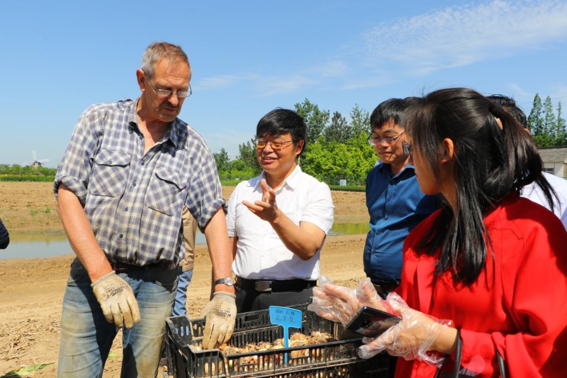 尼可：让“博爱”之花盛开在黄海之滨