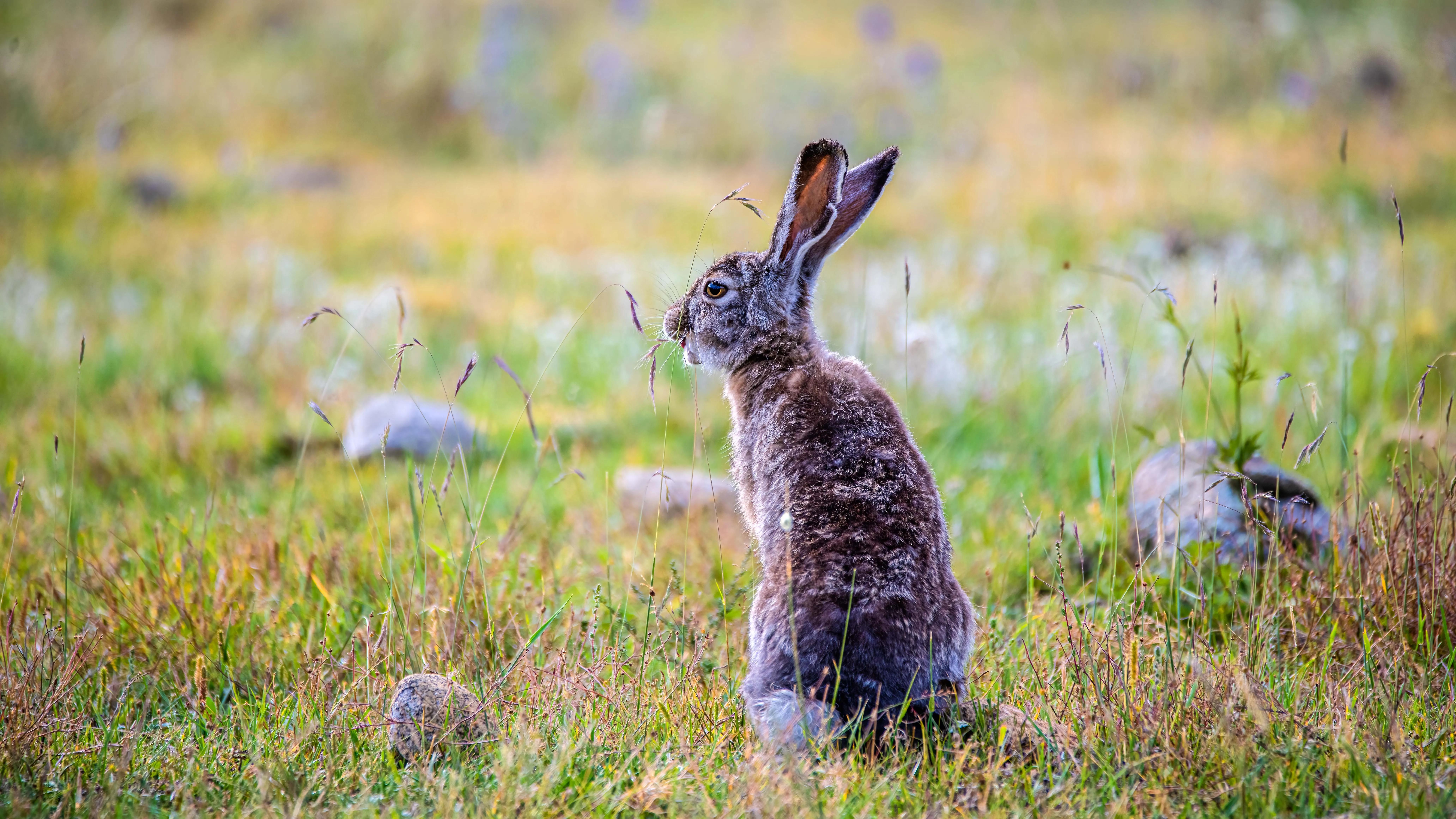 甘孜州最美风景在路上,金秋的甘孜州