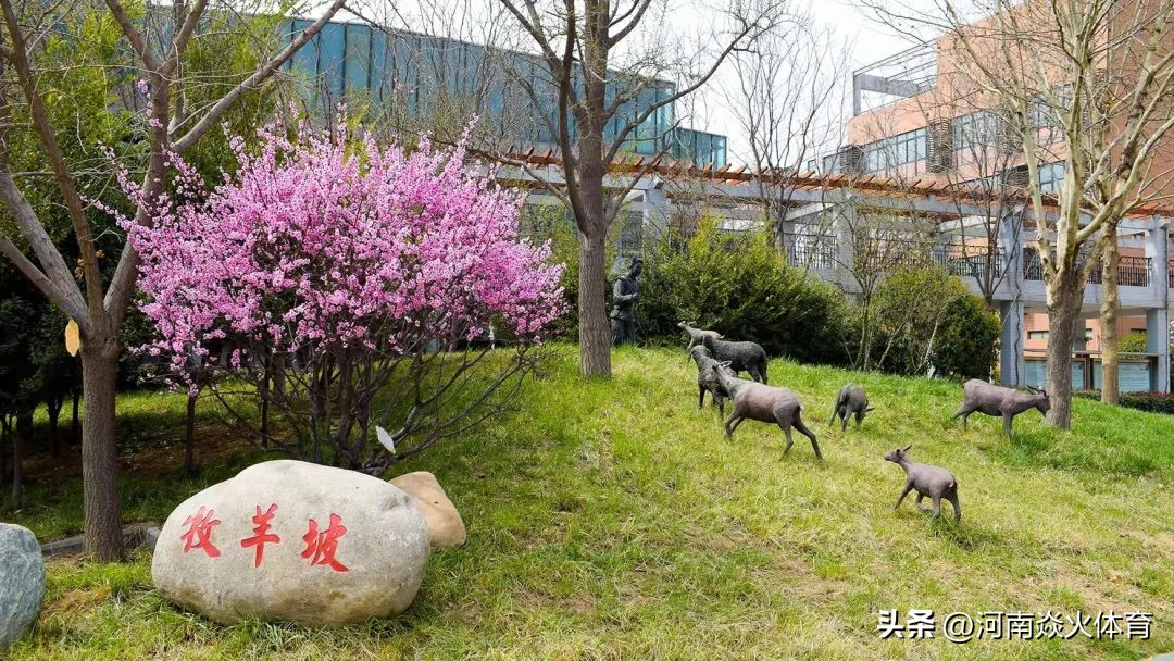 中考志愿第一批次有哪些学校,中考分数怎么预估你能上哪所高中