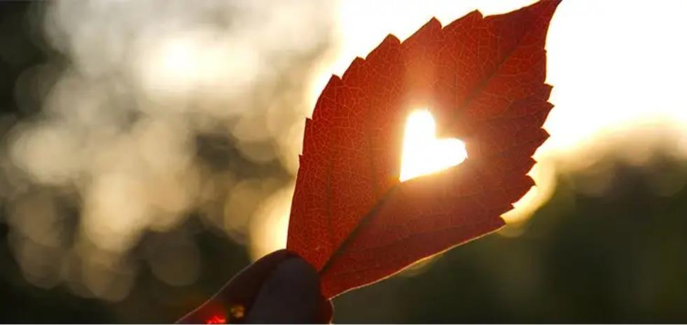 浠栫殑浜虹敓娣卞害瑙ｆ瀽,浠栫殑浜虹敓鍏ㄦ枃闃呰