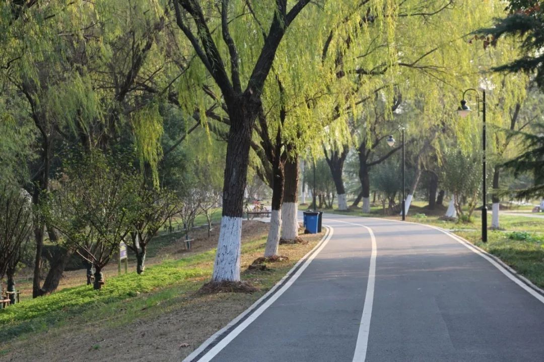 湖北这所大学：5大食堂、高档公寓，吃住条件相当好，出门是地铁