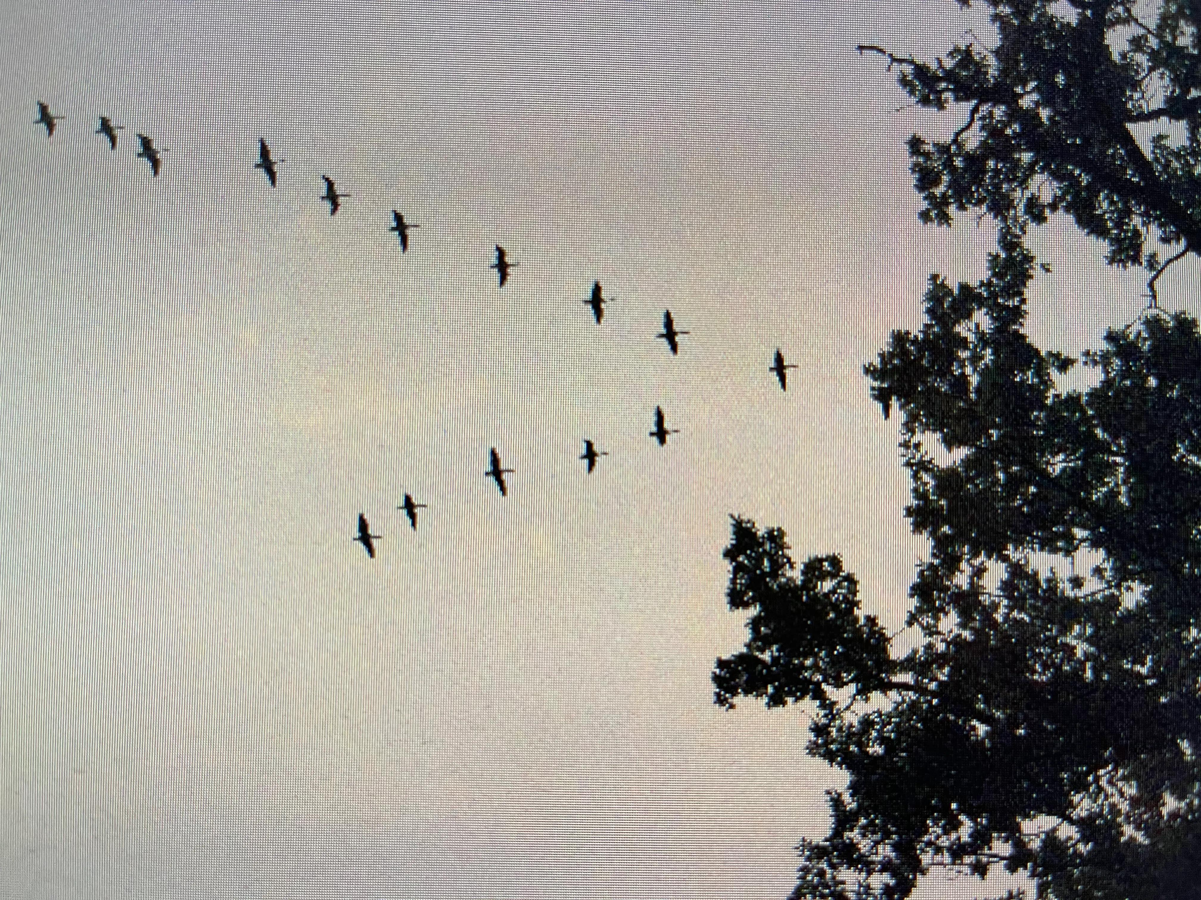 游北欧十五首 (北欧五国游最美乡村)