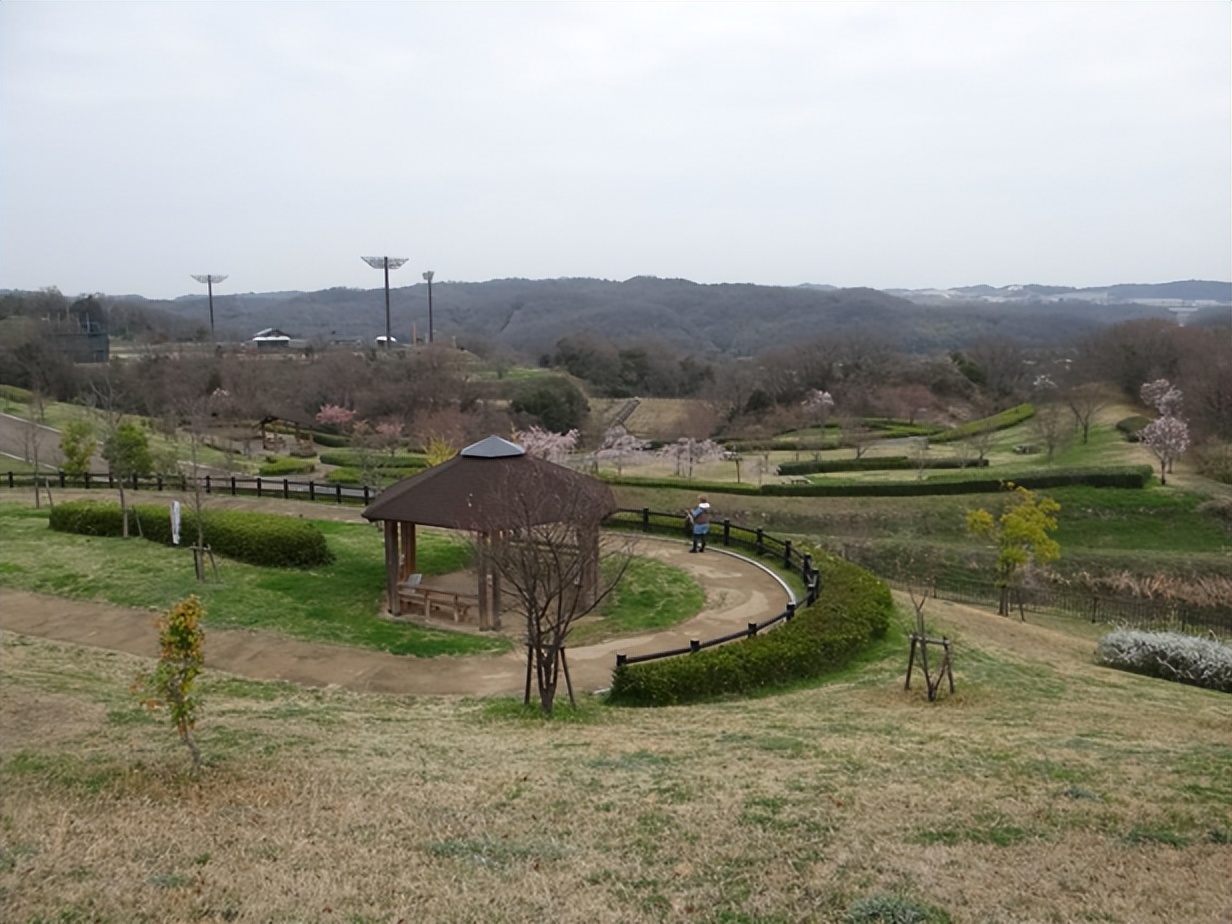 日本城市为什么那么干净,日本东京公园现状