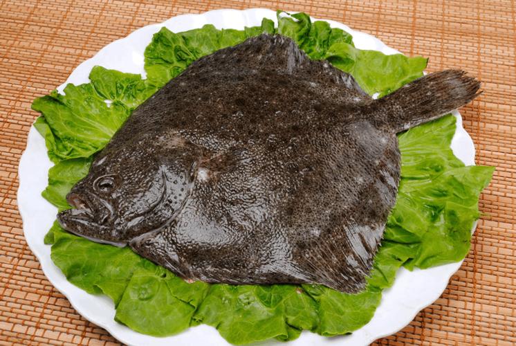 条斑星鲽工厂化养殖技术,星斑川鲽的营养价值