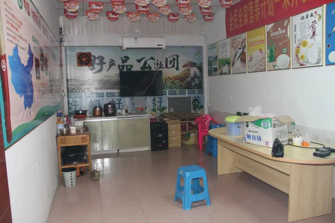 金城江最近逮捕名单,金城江近期逮捕涉嫌境外人员