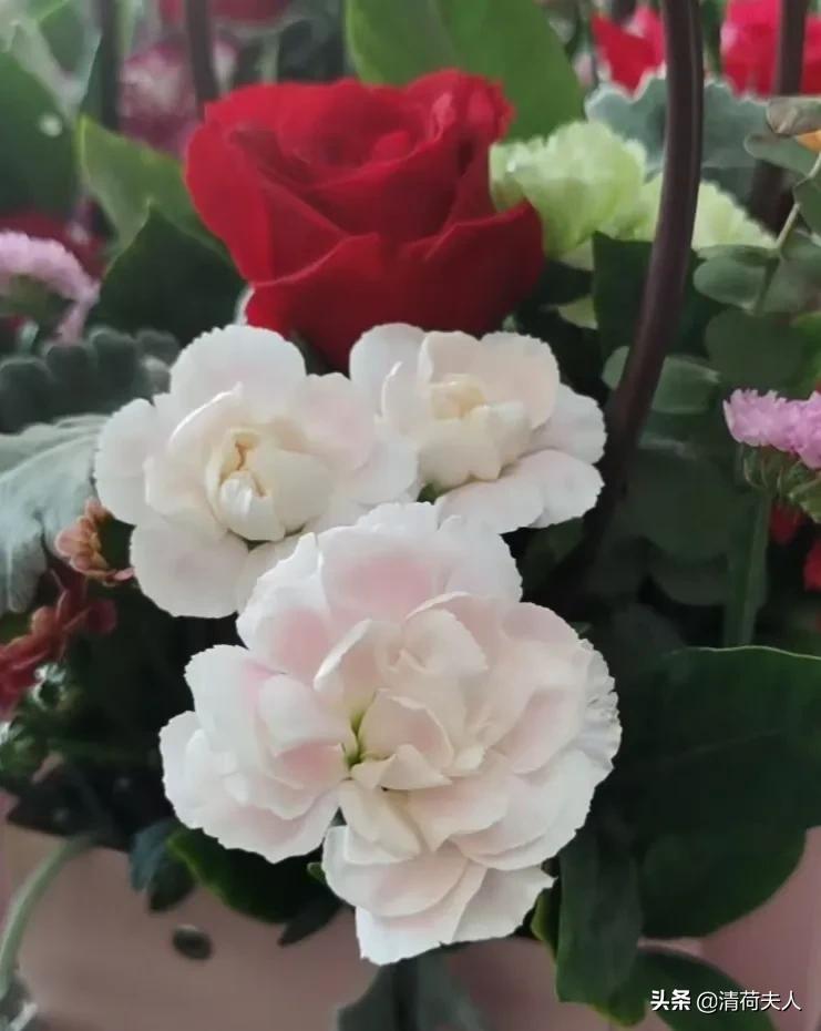 欲望之殇,欲望之殇完整版