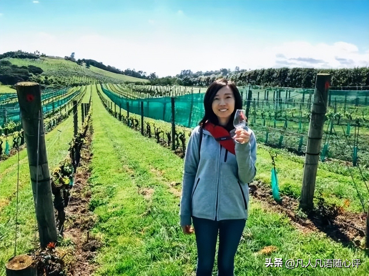 周游记2新西兰之旅,新西兰之旅15集