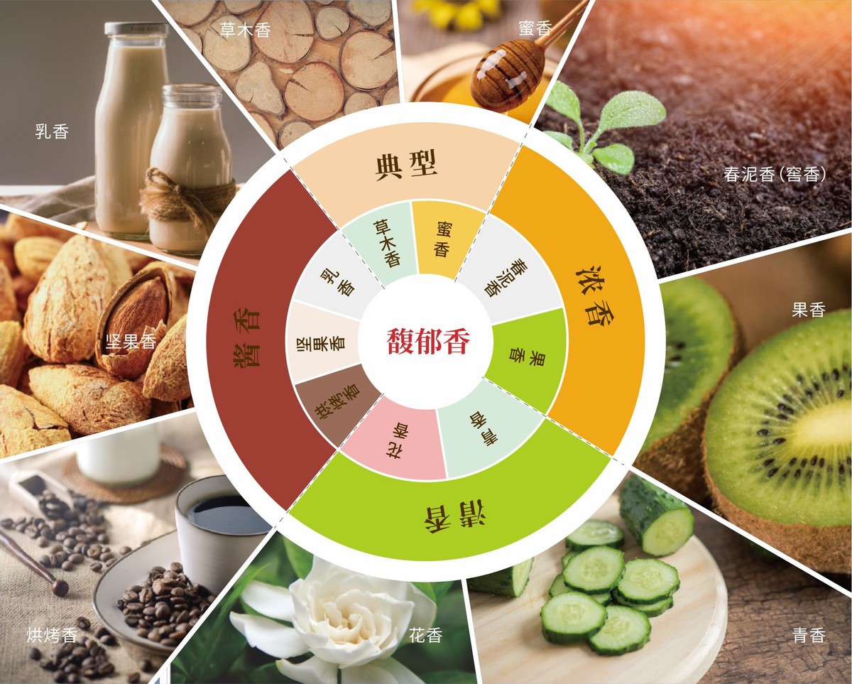 原浆酒鬼酒与馥郁香的区别,天人共酿基酒