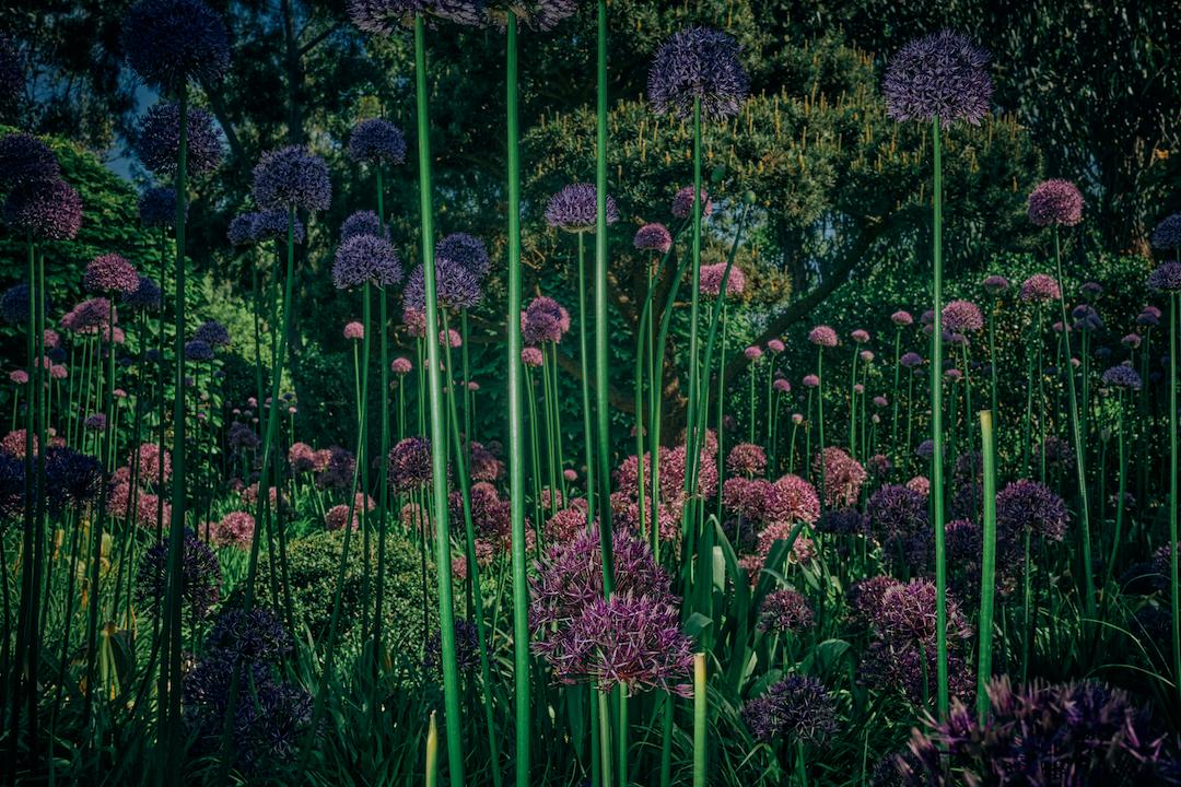 2022索尼摄影大赛征稿,2022索尼世界摄影大赛