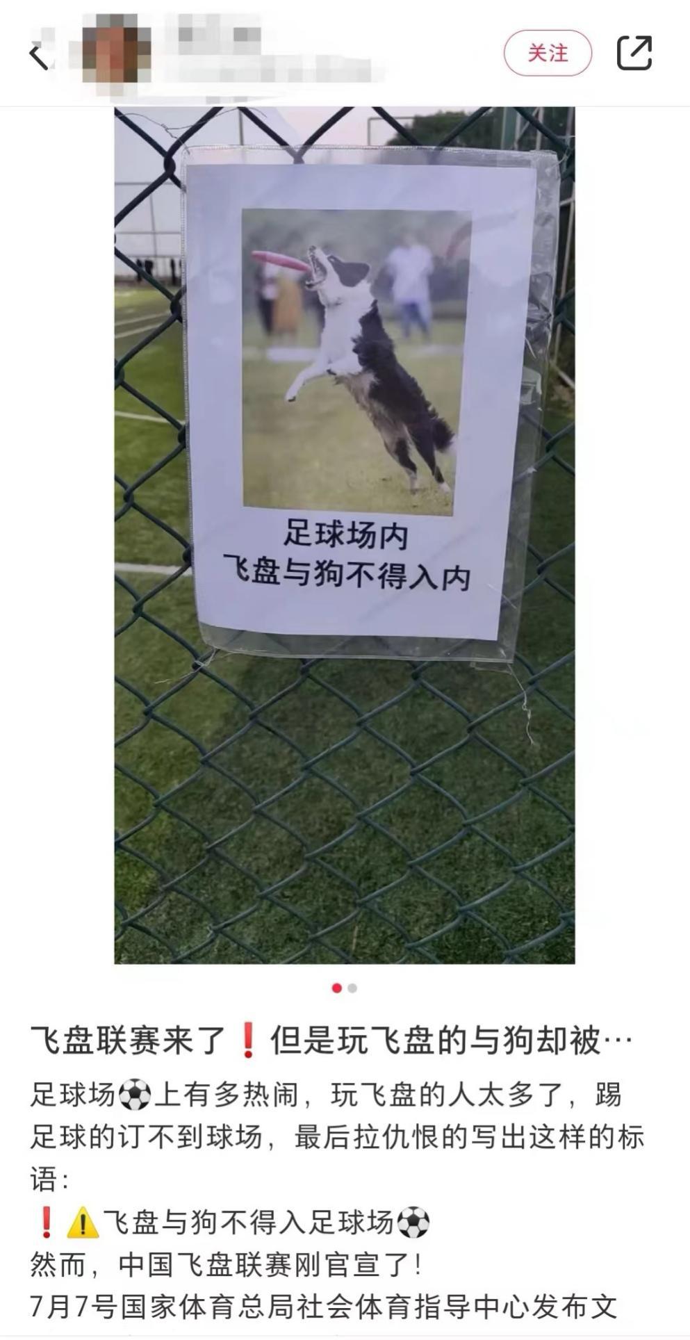 “黑红”的飞盘，商业化的前夜