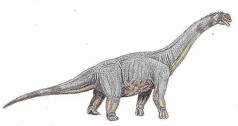 泰坦巨龙图片从哪来的,泰坦巨龙恐龙图片和简介