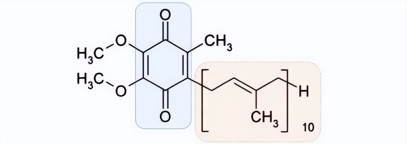 辅酶Q10引来热潮,正规保健品q10