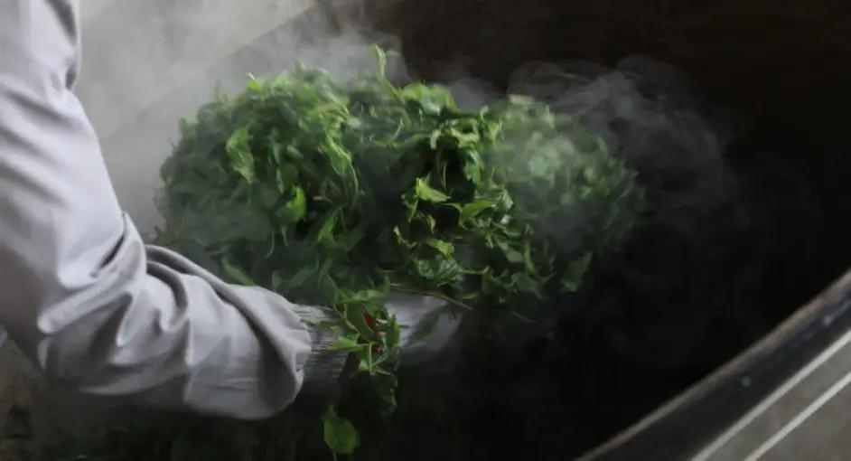 杀青的意思你知道几个?——2020上海师范大学MTI翻译硕士真题