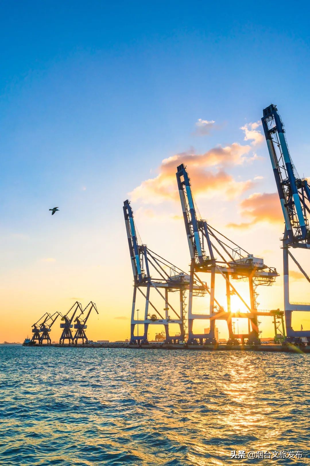 一到夏天，烟台就成了人们心心念念的消暑天堂！