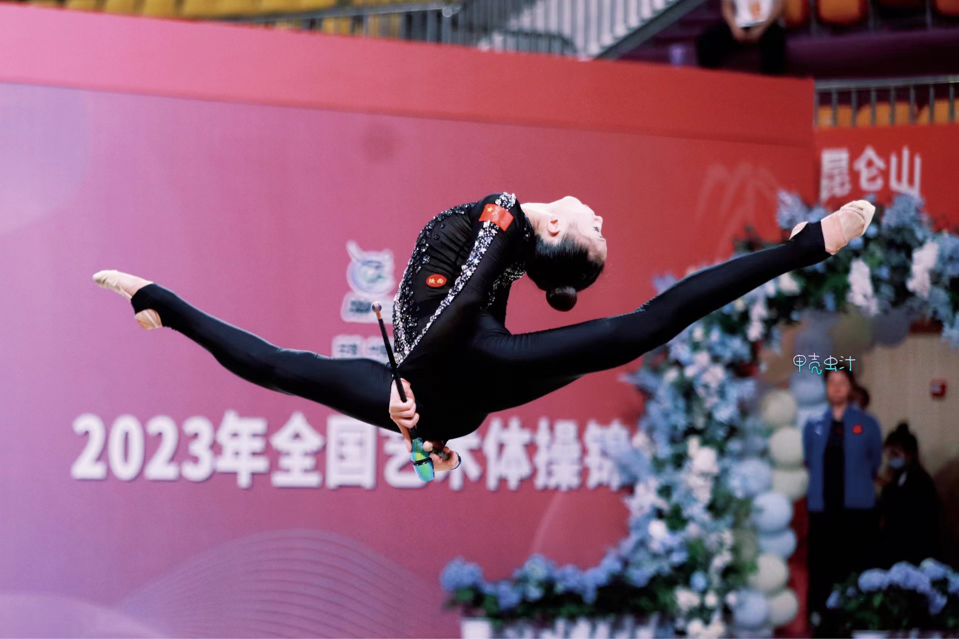 王子露获奖了吗,王子璐夺金