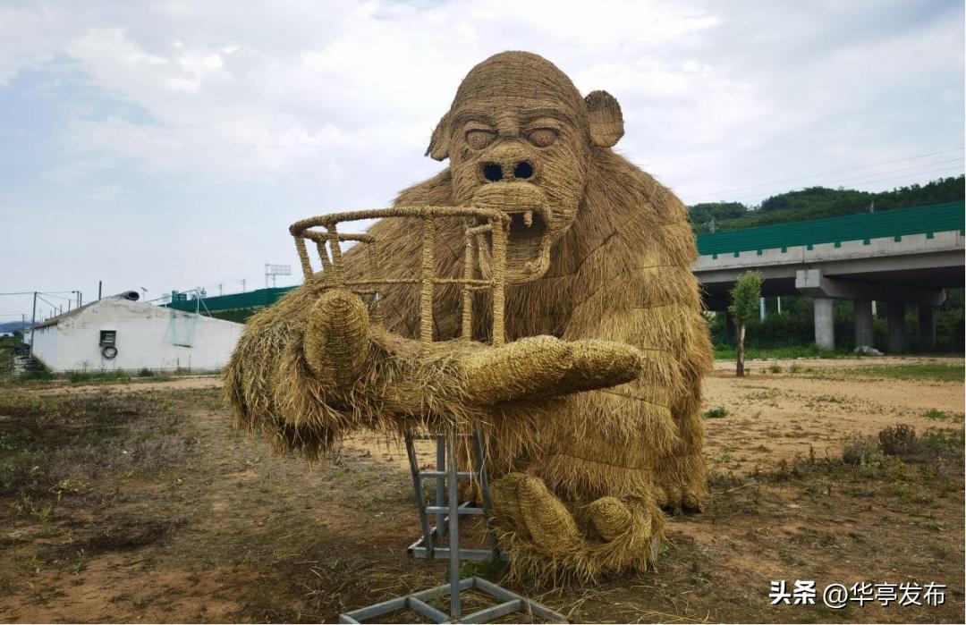 华亭县安口镇朱家坡村,安口镇朱家坡村