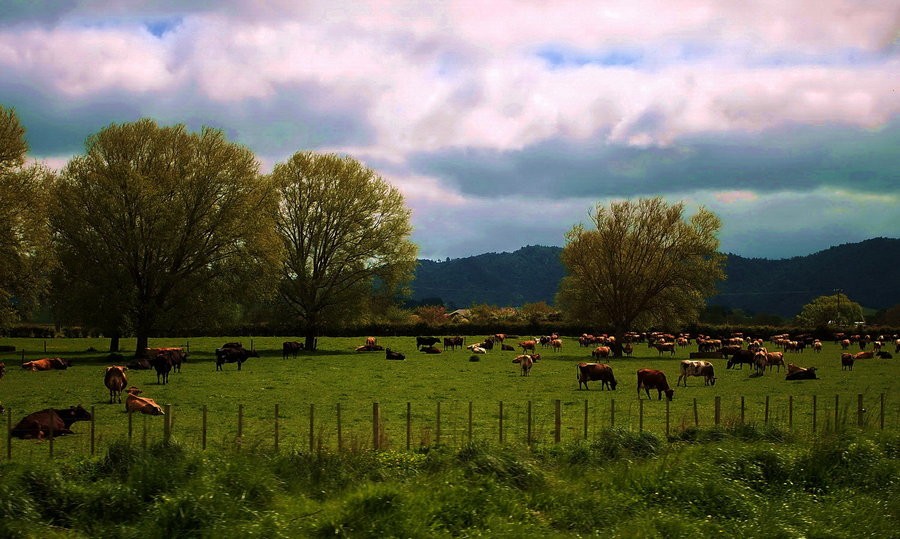 世界上最孤独的国家有多孤独？节假日商铺全关，却令无数人向往