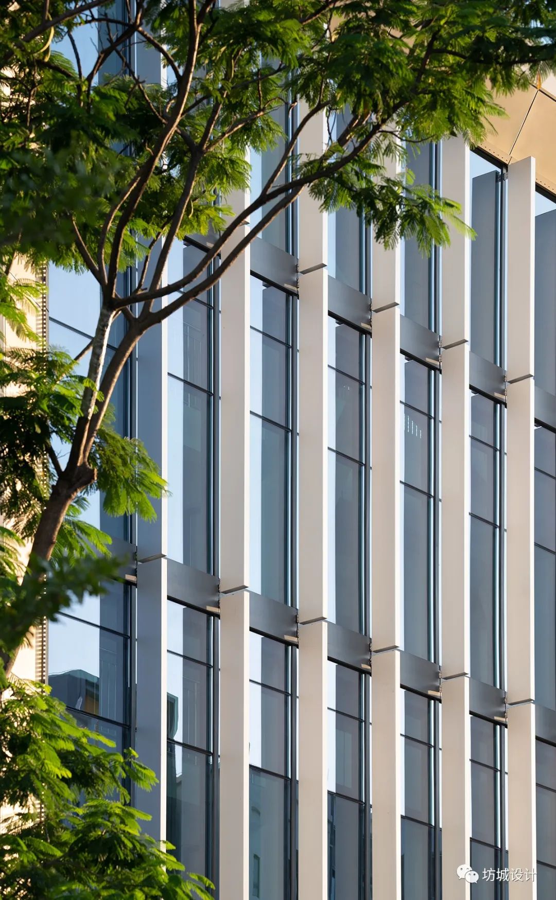 旧厂新生，立体学苑-深圳华朗学校A地块/坊城设计FCHA