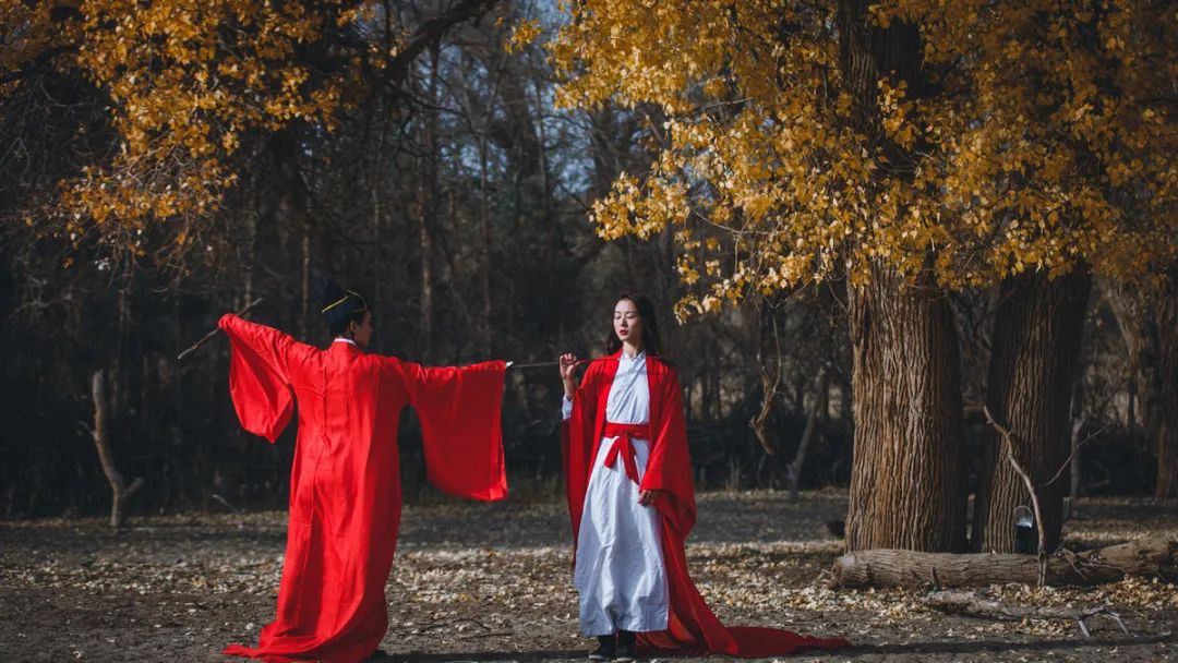 全世界仅存三处！一年只美21天！这场“黄金盛宴”，只因它而起