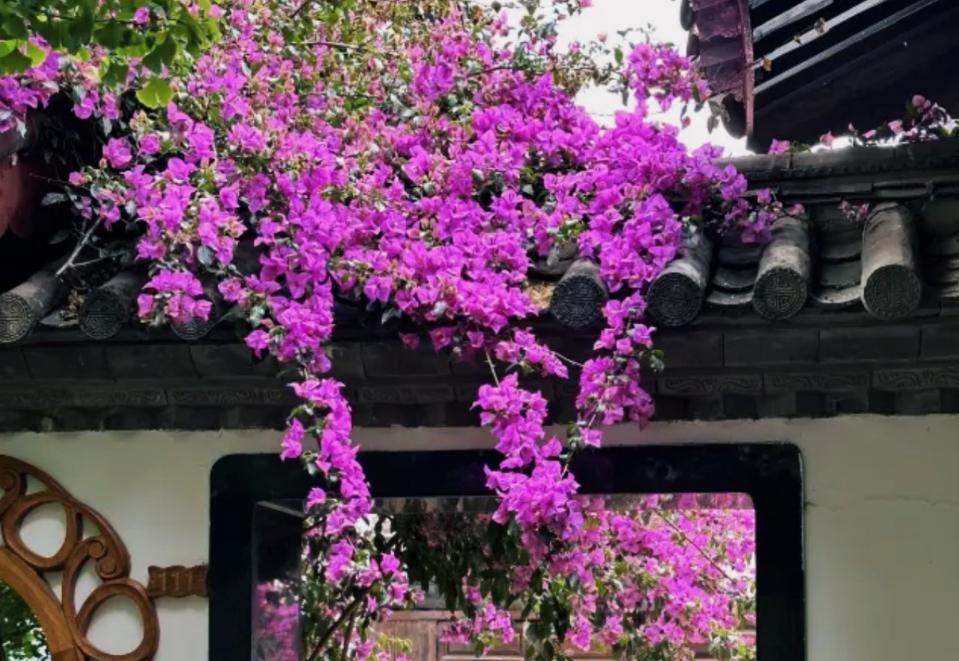 去云南丽江昆明旅游说说,丽江旅游攻略丽江有哪些古镇