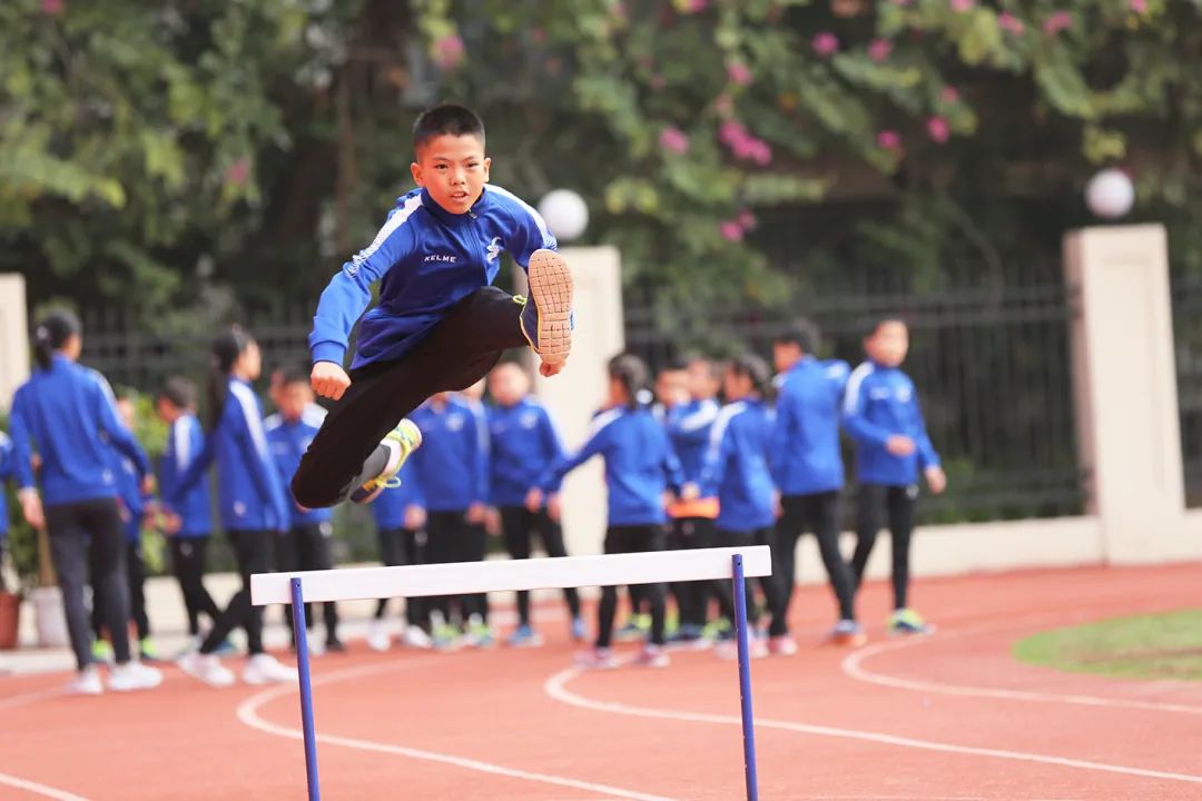 南山这十年丨南油小学:全力打造“生态、智慧、生长”的未来学校