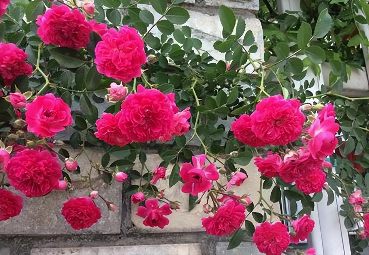 云南绝美十大仙境,云南发现真正的世外桃源