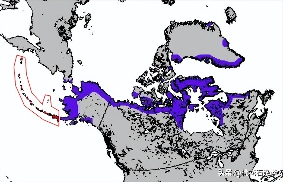 美洲有哪些语言,美洲哪个国家有自己的语言