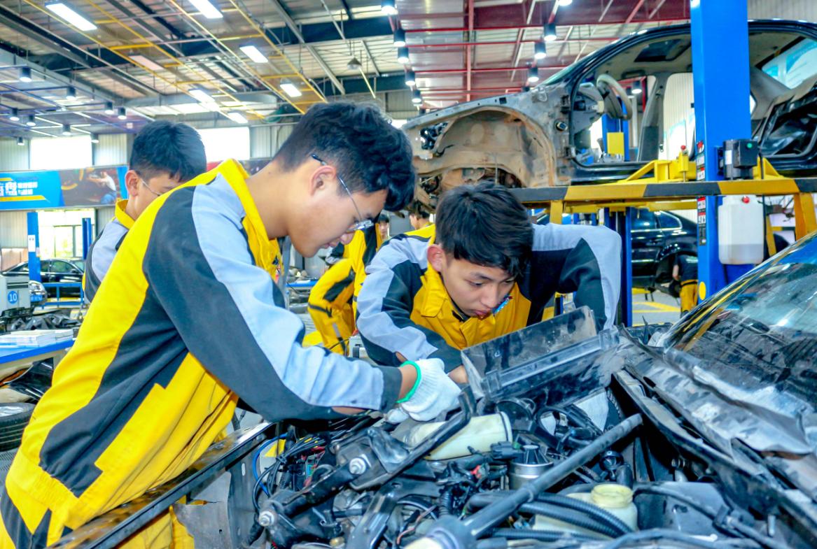 发展前景较好的三大专业,学历要求不太高,初中毕业生也能报名