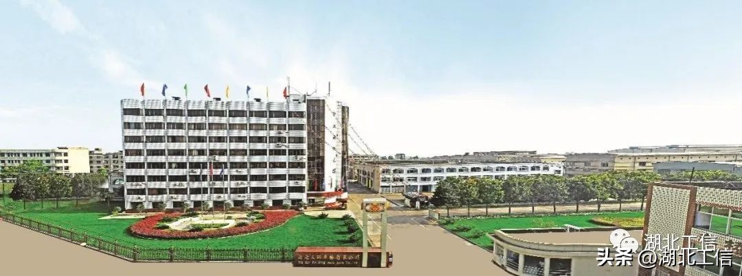 国家级制造业单项冠军湖南,国家制造业单项冠军企业榜单