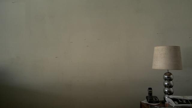 丁克家庭晚年现状,丁克晚年生活状况