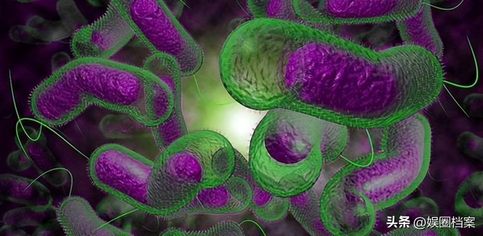 探究东部黑犀牛，激素代谢物和卵巢周期阶段肠道中微生物群的反应