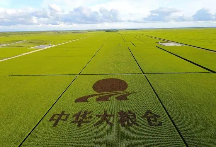 北大荒为什么退林还耕,北大荒当年咋样开垦的