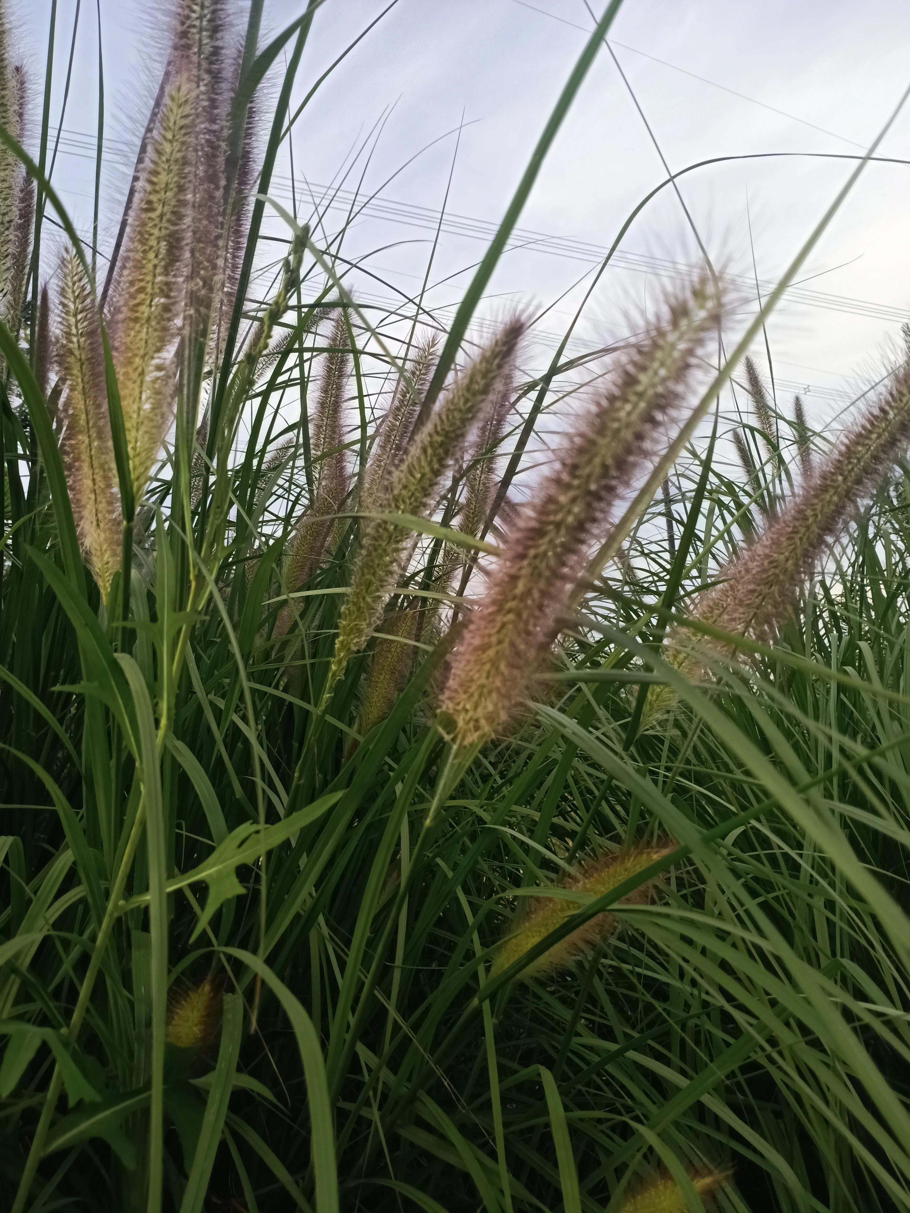 莫名的烦躁怎么静心,最近心情总是烦躁焦虑怎么办