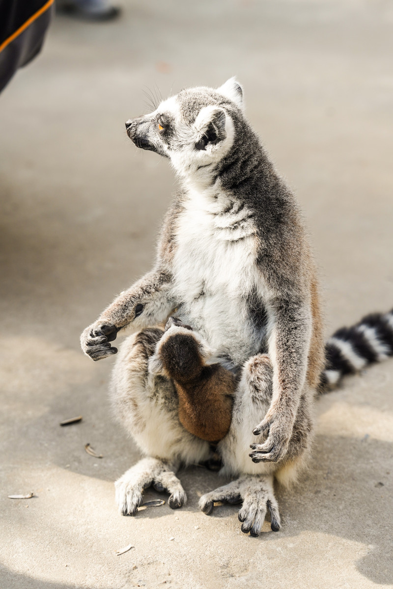 宿州两日游,宿州旅游攻略三日游