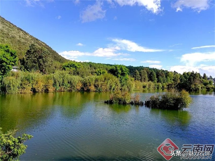 丽江黑龙潭玉龙雪山倒影美图,丽江早晨黑龙潭风景区