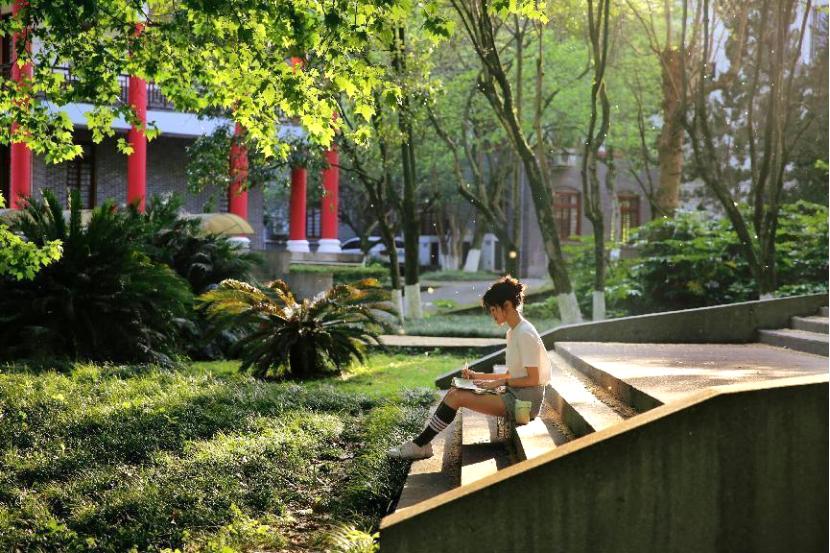 四川各个高校占地面积,四川省占地最大前十的大学