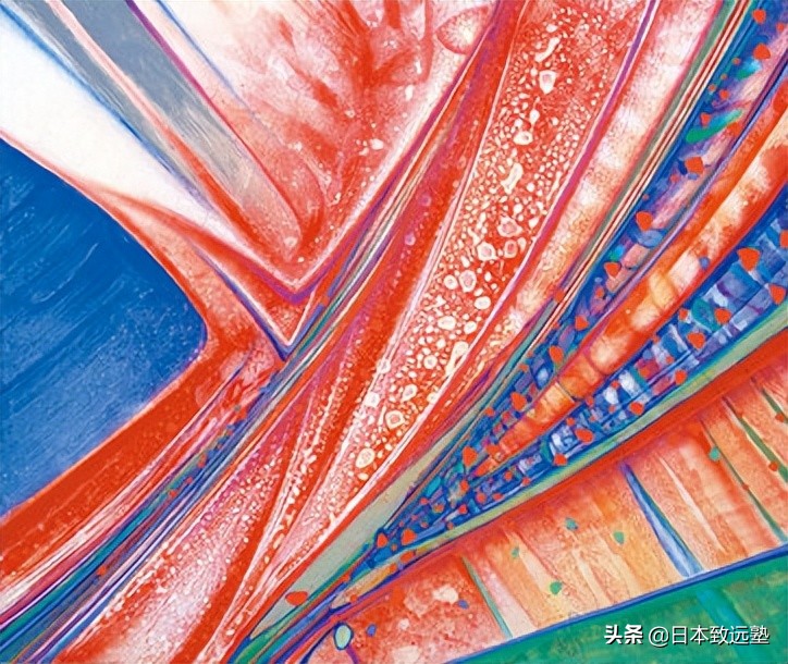 日本绘画艺术留学,日本美术学院留学