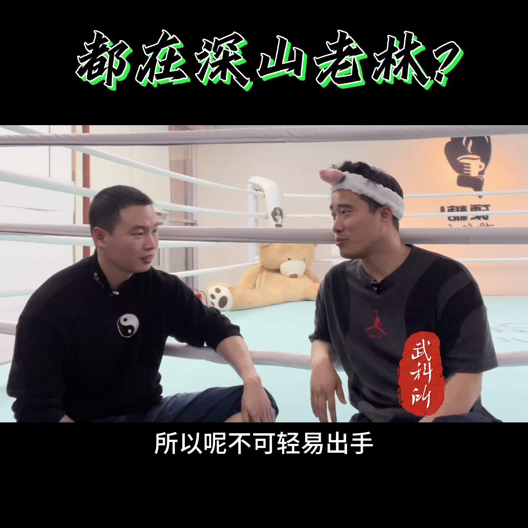 深山老林的高手,深山老林高手