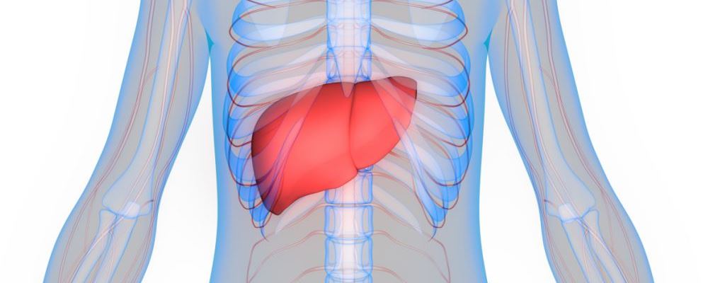出现肝掌肝硬化的几率大吗,肝健康科普图文