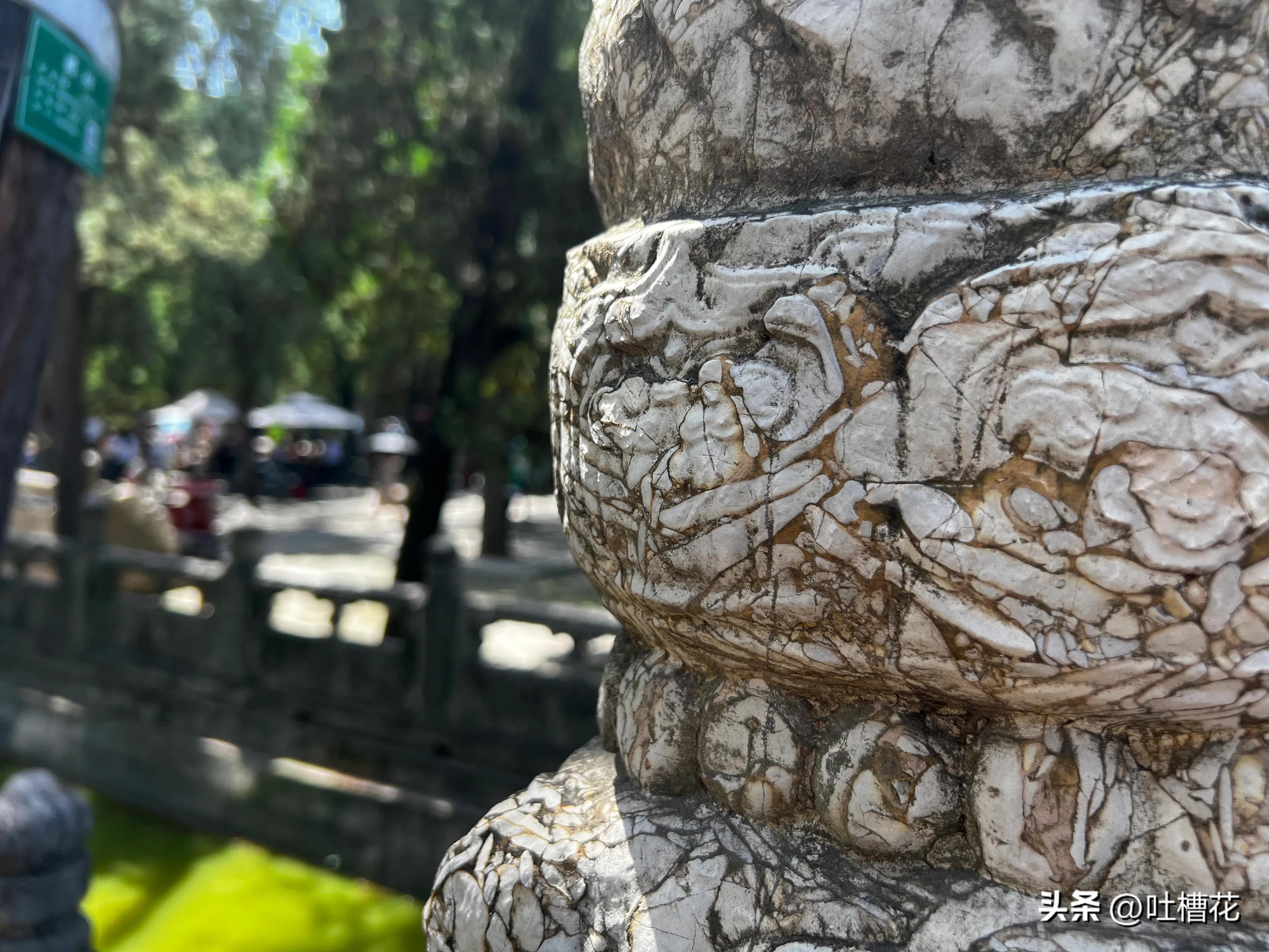 37℃，高温下逛完孔庙，孔子姓啥